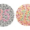 Color Blindness (全10文)