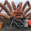 東海自転車道 〜 序章