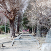 川越 with Nikon F & NIKKOR-O・C Auto 35mm F2