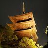 観客賞スポットライト　大学ユース部門　その3