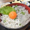 【東家＠平塚】平塚漁港近くにある魚介が楽しめる定食屋【湘南しらす】