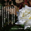 こころの道しるべ（235）時間からの解放