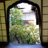 妙心寺塔頭「桂春院」庭園の椿