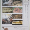 恐竜新聞第１９号の完成＆クイズラリー