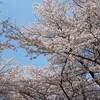 花火甲子園 ２０２２年 日程 時間は？