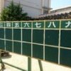 高校野球 春季大阪大会！