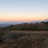 今朝の景色