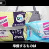 【失敗しない】網戸と窓ガラスのかんたん掃除方法【クイックルワイパー】【ガラスマジックリン】