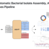 単離バクテリアゲノムのアセンブリ、アノテーション、比較ゲノム解析を行う高度に自動化されたパイプライン ASA3P