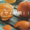 いつまで続くイヤイヤ期！！　イヤイヤ期の向き合い方
