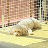春ですね🌸