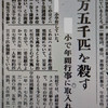 過去への旅⑦ハエとの戦いだった昭和