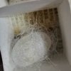 今年のカイコは、玉繭を作ってみた