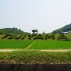 藤山公園・妙見山古墳