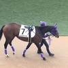 中山競馬8R パドック直前予想 ◎7 レトロフィット