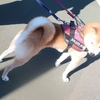 1月の晴天、だよ