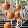 農家マダムにアームカバー。
