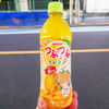 果粒たっぷりで飲み応え抜群！サンガリア つぶつぶオレンジの魅力