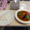 シンカムイ（千代田区外神田）のチキン野菜スープカレー（ごはん小）