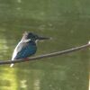 水湧き出ずる公園