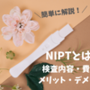 【NIPTとは？】簡単に解説！新型出生前診断の検査内容や費用は？