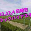 2022,12,4 日曜日 トラックバイアス予想 (中山競馬場、阪神競馬場、中京競馬場)