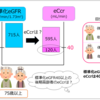 標準化eGFR40以上の後期高齢者→推算クレアチニンクリアランスは？（日腎薬誌2021）