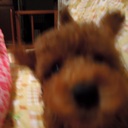 bass-inu's blog