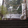 【あたしゃ神様だよ】筑北村『オートバイ神社』に行こー