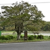 八所宮の御手洗池　福岡県宗像市吉留