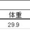 2023/3/21  大型・極太系オオクワガタセミ化幼虫前蛹に