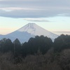 今朝の景色