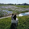 道の駅、３県境、遊水地