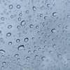 雨降る山へ
