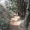 勝俣部長の健康体質作り････高尾山「健康を体感する」（１６４）
