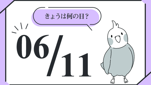 あなたの家は大丈夫？　6月11日は「雨漏り点検の日」