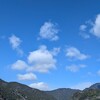 みどりの木々の隙間から