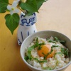 卵かけごはん