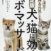 猫は火の精、犬は土の精