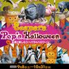 横浜・八景島シーパラダイス　Halloween　2018年9月8日～10月31日