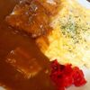 札幌市　カレー　準泰　/　辛さのアップは危険