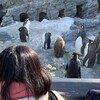 旭山動物園〜白ひげの滝〜青い池