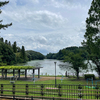 本日の風景から！