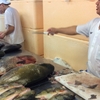 ブラジル　アマゾンの魚市場🐟