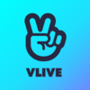 Vliveって？？？