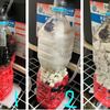 メダカを飼って88週目「自作ペットボトルろ過機の遍歴」のハナシ〈mata.〉