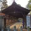 晩秋の朝の東福寺
