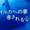 不思議♪　イルカのカフェタイム報告と次回イベント