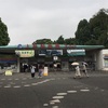 上野動物園の年間パスポート