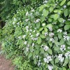 何度目か分からないけど文殊山